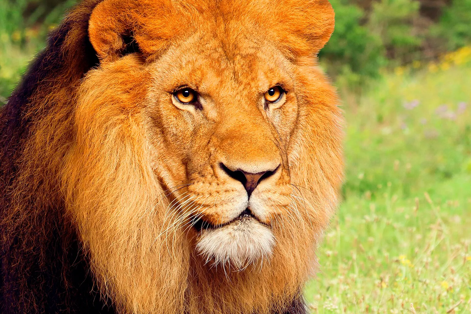 Terra Natura Murcia Tickets: Der Weg zum besten Preis
